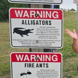 Ritch Grissom Memorial Wetlands - Cape Canaveral