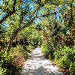 Four Mile Cove Ecological Preserve - Cape Coral