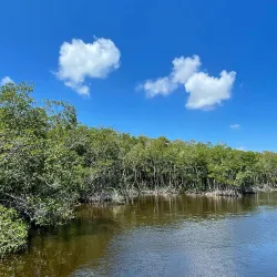 Four Mile Cove Ecological Preserve - Cape Coral