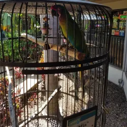 Jerry’s Creekside Market - Cape Coral