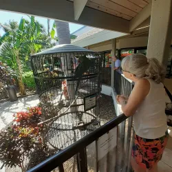 Jerry’s Creekside Market - Cape Coral