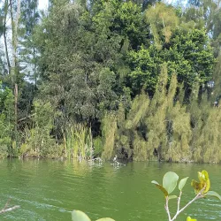 Lakes Regional Park - Cape Coral