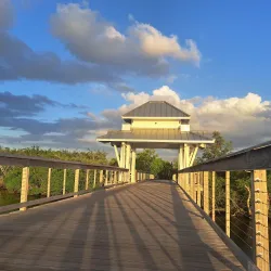 Lakes Regional Park - Cape Coral