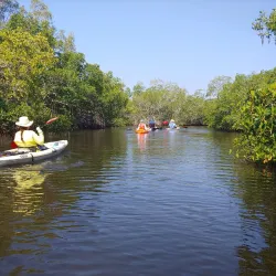 Matlacha Pass Aquatic Preserve - Cape Coral