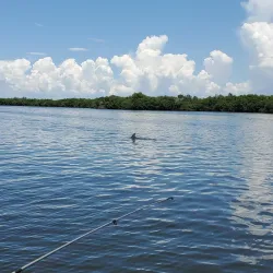 Matlacha Pass Aquatic Preserve - Cape Coral