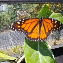 Rotary Park Environmental Center - Cape Coral