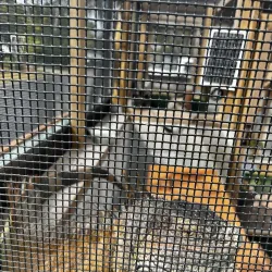 Rotary Park Environmental Center - Cape Coral