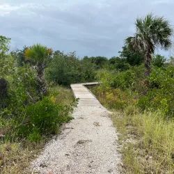 Rotary Park Environmental Center - Cape Coral