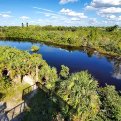 Rotary Park Environmental Center - Cape Coral