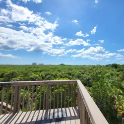 Rotary Park Environmental Center - Cape Coral