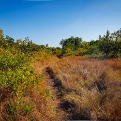 Rotary Park Environmental Center - Cape Coral
