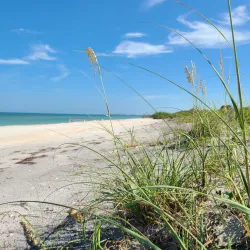 Caladesi Island State Park - Clearwater