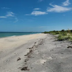 Caladesi Island State Park - Clearwater