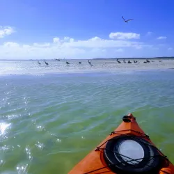 Caladesi Island State Park - Clearwater