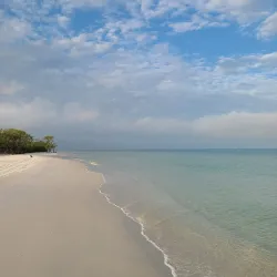 Caladesi Island State Park - Clearwater
