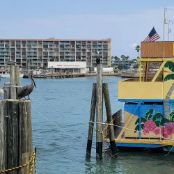 Clearwater Beach - Clearwater