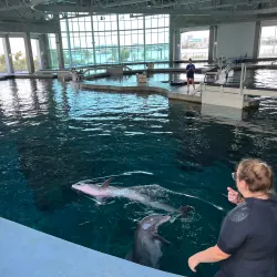 Clearwater Marine Aquarium - Clearwater