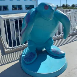 Clearwater Marine Aquarium - Clearwater