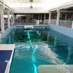 Clearwater Marine Aquarium - Clearwater