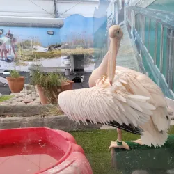 Clearwater Marine Aquarium - Clearwater