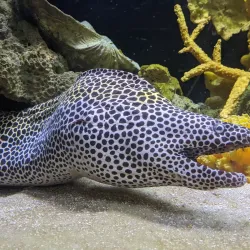 Clearwater Marine Aquarium - Clearwater