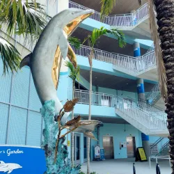 Clearwater Marine Aquarium - Clearwater