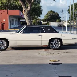 Downtown Clearwater - Clearwater