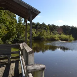 Moccasin Lake Nature Park - Clearwater
