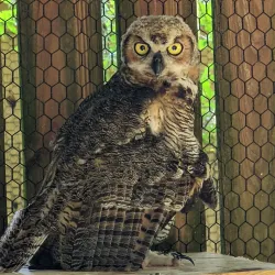 Moccasin Lake Nature Park - Clearwater