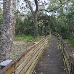 Moccasin Lake Nature Park - Clearwater