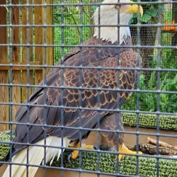 Moccasin Lake Nature Park - Clearwater