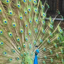 Moccasin Lake Nature Park - Clearwater