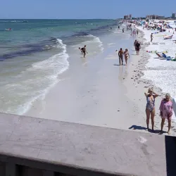 Pier 60 - Clearwater