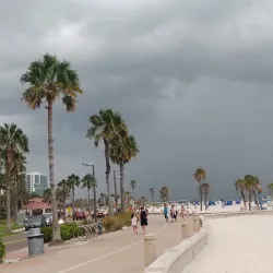 Pier 60 - Clearwater