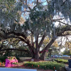 Ruth Eckerd Hall - Clearwater