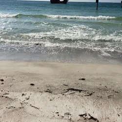 Sand Key Park - Clearwater