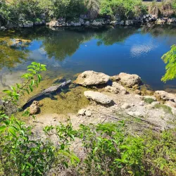 Big Cypress National Preserve - Clewiston