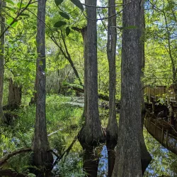 Big Cypress National Preserve - Clewiston