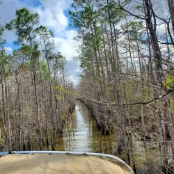 Big Cypress National Preserve - Clewiston
