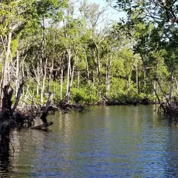 Big Cypress National Preserve - Clewiston