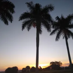 Clewiston Golf Course - Clewiston