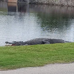 Clewiston Golf Course - Clewiston