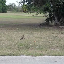 Clewiston Golf Course - Clewiston