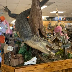 Clewiston Marina - Clewiston