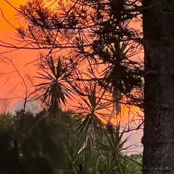 Lake Okeechobee - Clewiston