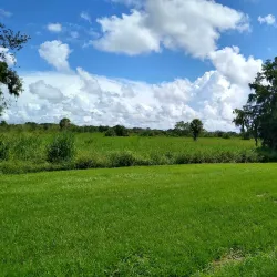 Okeechobee Battlefield Historic State Park - Clewiston