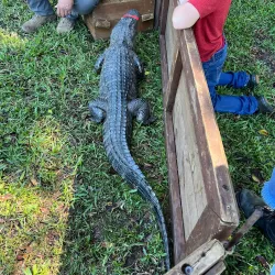 Okeechobee Battlefield Historic State Park - Clewiston