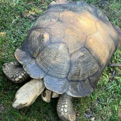 Okeechobee Battlefield Historic State Park - Clewiston