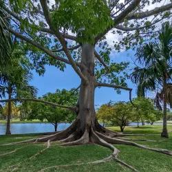 Fairchild Tropical Botanic Garden - Coral Gables