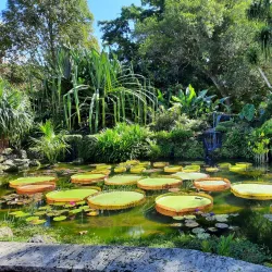 Fairchild Tropical Botanic Garden - Coral Gables